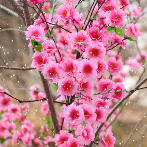 Tanaman palsu bunga persik buatan, bunga persik ungu buatan untuk dekorasi rumah, bunga simulasi ungu - Product Image 3