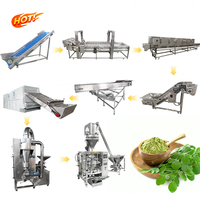 Mesin Pengering Buah dan Sayuran, Pengering Moringa, Mesin Pencuci, Pengering, dan Penggiling Daun Kurma, Lini Produksi Daun Moringa