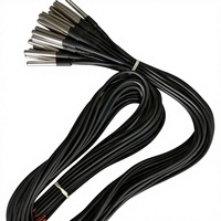 Capteur de température numérique DS18B20 avec sonde en acier inoxydable pour utilisation industrielle et intérieure, OEM et ODM pris en charge