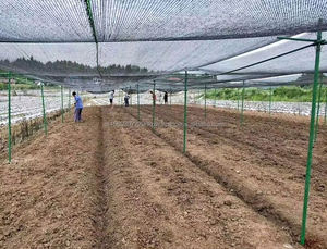 Piquets de soutien pour tomates en fibre de verre de haute qualité, revêtement plastique, tige en PRV de 8 mm, soudables et pliables, couleur personnalisable pour le jardin - Product Image 6