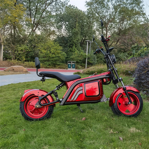 Scooter Eléctrico Autoequilibrado con Asiento y Cesta, Scooter para Adultos con Capacidad de Carga de 200 kg - Product Image 3