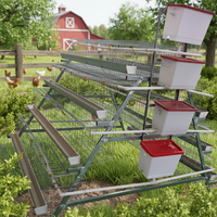 Cage à poulets d'élevage en acier inoxydable d'occasion, type H, avec système d'alimentation et d'abreuvement automatique, conception pliable, pour poules pondeuses SABO