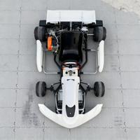 Venta al por mayor de fábrica: Go Kart MCG OKR-KT2 de 7ª generación, 4 tiempos, profesional, con pedal de acelerador, freno de disco hidráulico, tanque de combustible de 7L, 120 km/h