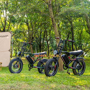Electric Mountain <strong>Bike</strong> Ebike V8 Fatbike Electric Hybrid <strong>Bike</strong> 48V E <strong>Bike</strong> 250W Fatbike V20 EBike 1000W Electric Bicycle S8 E-<strong>Bike</strong> - Product Image 2
