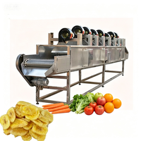 Machine de séchage à haute pression pour fruits et légumes, déshydrateur de pommes de terre frites à la française pour l'égouttage ou l'élimination de l'huile