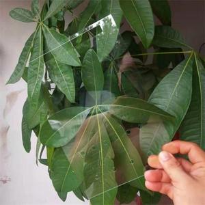 Feuille <span class=keywords><strong>lenticulaire</strong></span> 3D à bas <span class=keywords><strong>prix</strong></span>, images 3D changeantes, <span class=keywords><strong>impression</strong></span> de feuille <span class=keywords><strong>lenticulaire</strong></span> 3D, image 3D, affiche d'anime 3D, acrylique PS - Product Image 3