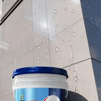 Revêtement extérieur auto-nettoyant à base d'eau, effet lotus, anti-pollution, à base de cristal de silicium inorganique, pour peinture sur pierre