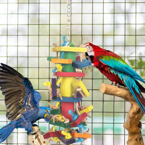 Groothandel Milieuvriendelijk Houten Papegaaien Speelgoed Ara 'S Bijten Grote String Vogelbenodigdheden Verlichtende Benauwde Puzzel In Voorraad Hete Verkoop - Product Image 6