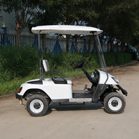Voitures de golf tout-terrain chinoises à bas prix, personnalisées, de haute qualité, à 2 places, polyvalentes, pour le tourisme, le camping et les clubs