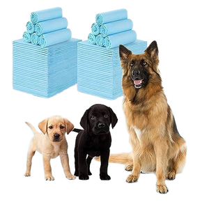Tapis absorbants et désodorisants jetables pour l'urine des chiens, en stock immédiat - Product Image 1