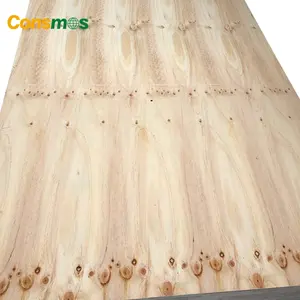 Pine Cdx Plywood 18mm Waterproof Radiata Pine CDX Shuttering Structural Plywood For Construction