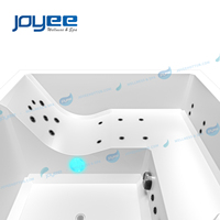JOYEE design simple européen importé acrylique 3 places gecko chauffage ozone hydro bain à remous piscine extérieure spa