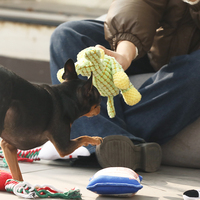 Großhandel Umweltfreundliches Klassisches Hundekau-Spielzeug, Anpassbares Buntes Quietschendes Nylon-Spielzeug