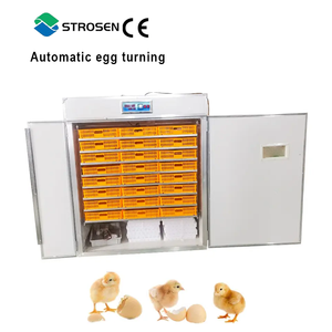 Incubateurs électriques entièrement automatiques pour l'éclosion des œufs, plateaux d'incubation pour œufs de caille et de poulet - Product Image 5