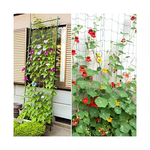 agriculture climbing net trellis support netting