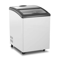 Vitrine Réfrigérée pour Glaces avec Porte Coulissante en Verre, Thermostat Réglable et Réfrigérant R290 pour Magasins de Détail