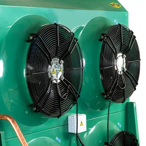Unidad de condensación 10HP 15HP 18HP 30HP para almacenamiento en cámara frigorífica con unidad de condensación Bitzer - Product Image 3
