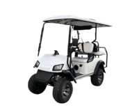 Voiturette de golf électrique tout-terrain 4x4 pour adultes, 4 places, homologuée route, avec fonction de levage, vente en gros