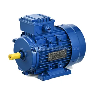 MS 0.37KW 0.55KW 0.75KW 1.1KW 1.5KW 2800rpm 1440rpm 1000rpm aluminium Shell tiga fase Asynchronous AC motor listrik