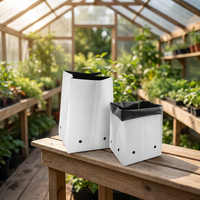 PE Plantzakken Zwart Wit Tomaat Komkommer Kweekzakken Esthetische Farm-Grade Fruitboom Groente Zaailing Bodemloze Teelt
