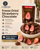 Gefreeze-droogde aardbeienchocolade snack premium fruit snoep 58g 40 zakjes 12 maanden houdbaarheid kant-en-klaar OEM/ODM Private Label