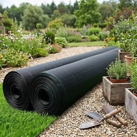 Toile de paillage agricole complète en PP traité anti-UV noire pour une solution de contrôle des adventices améliorée