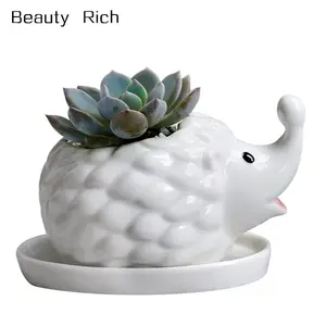 Hérisson Blanc Céramique Succulentes Planteur Fleur Plante Pot Boîte De Fenêtre avec Soucoupe Décor Animalier