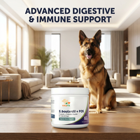 Produit Tendance : Poudre Probiotique pour Chiens – Complément Immunitaire et Équilibre de la Flore Intestinale