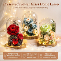 Bouquet de roses éternelles sous cloche en verre, fait main, fleurs séchées, décoration de luxe, cadeau d'anniversaire pour les fêtes