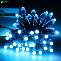 Modul Lampu Pixel LED RGB Lanskap PVC SHIJI 12mm DC5V IP68 Tahan Air Dapat Diredupkan Bersertifikasi CE CRI 85 Lampu String