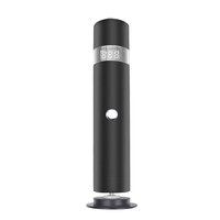 Ponceuse électrique pour les pieds à double tête, éliminateur de callosités portable pour usage domestique, douce, puissante, chargement USB rapide, lime à ongles