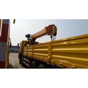 Grúa Sany de 50 toneladas con cangilones para hormigón, grúas torre, grúa sobre camión nueva Terex - Product Image 5