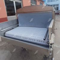 Prix petit stérilisateur à pulvérisation continue pot en verre peut bouteille en plastique yaourt lait de chèvre Tunnel pasteurisateur Machine à vendre