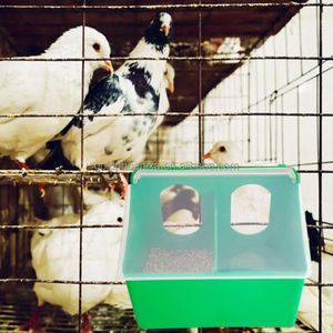 ZYC PH132 Mangeoire automatique à double trou en plastique pour oiseaux, perroquets et pigeons de course - Product Image 6