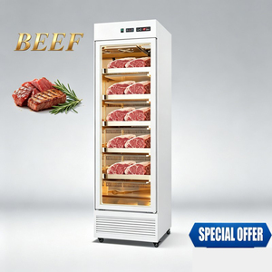 Congelador de carne de una sola puerta |   Gabinete de Curación de Carne con Control Electrónico, Refrigerador Ventilado para Maduración en Seco y Fermentación de Filetes - Product Image 4