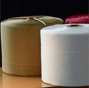 סין יצרן מזרן אריזה יישום מיחזור פלסטיק לחיות מחמד רצועת נייר חבל