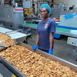 Jy-máquina automática para hacer galletas, 500kg por hora, shanghai