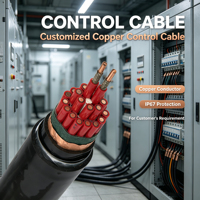 Cable de Control con Blindaje de Lámina y Trenza de Par Trenzado Anti-Interferencia Electromagnética, Conductor de Cobre, IP67, para Uso en Laboratorio, Estable