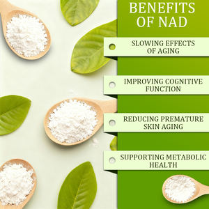98% CAS 53-84-9 Beta-Nicotinamid-Adenin-Dinukleotid NAD Nahrungsergänzungsmittel Pulver - Product Image 6