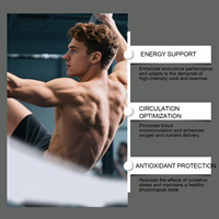 Poudre Énergisante Premium en Gros pour Hommes : Mélange Ginseng Maca, Améliorateur d'Endurance et de Performance, Fourniture en Vrac