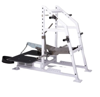 Rhino Belt Squat : Équipement de Gym Commercial Professionnel, Super Hack Squat, Machine d'Entraînement Fitness pour Squat avec Ceinture