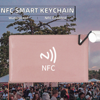 Tarjetas Llavero Inteligentes NFC NTAG215 Personalizadas al por Mayor - Material PVC, Etiquetas RFID para Control de Acceso, Tarjetas de Membresía Empresarial sin Contacto