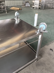 Medical Laboratory Static Free Double Multipurpose Trolley Nursing Instrument <strong>Cart</strong> New Design Trolley Custom <strong>Stainless</strong> <strong>Steel</strong> - Product Image 6