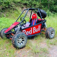 Kart de course tout-terrain populaire, buggy à quatre roues, vitesse maximale 80 km/h, idéal pour la plage et le tout-terrain