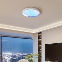 Télécommande simulant la lumière du soleil chambre réveil lumière lever du soleil bleu artificiel Led ciel plafonnier ciel plafonnier panneau