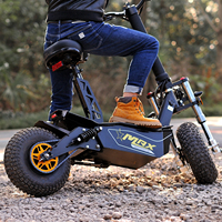 Trottinettes Électriques Pliables OEM pour Adultes, Puissantes, 3000W 2000W, Type Citycoco, pour Fabricants