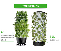 Système hydroponique/aéroponique agricole de haute qualité à 6 niveaux, tour verticale NFT pour la plantation de légumes, système de tour hydroponique