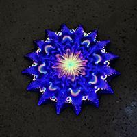 Étoile à 16 pointes de 26 pouces Flow Star Pro-Weight en tissu Flowstar pour tous les niveaux de compétence, facile à faire tourner pour le jonglage, les soirées EDM et les raves.