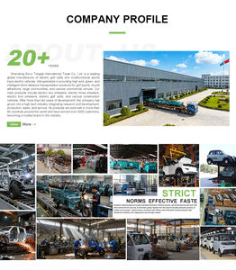 רכב חשמלי מיני קטן, זול ופופולרי, בעל ארבעה גלגלים, למבוגרים, עם אנרגיה חדשה. - Product Image 3