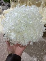 Fabrik-Großhandel 20-25cm Durchmesser Konservierte Blumen Anna Annabella Hortensie für Hochzeit Muttertag Weihnachtsstrauß